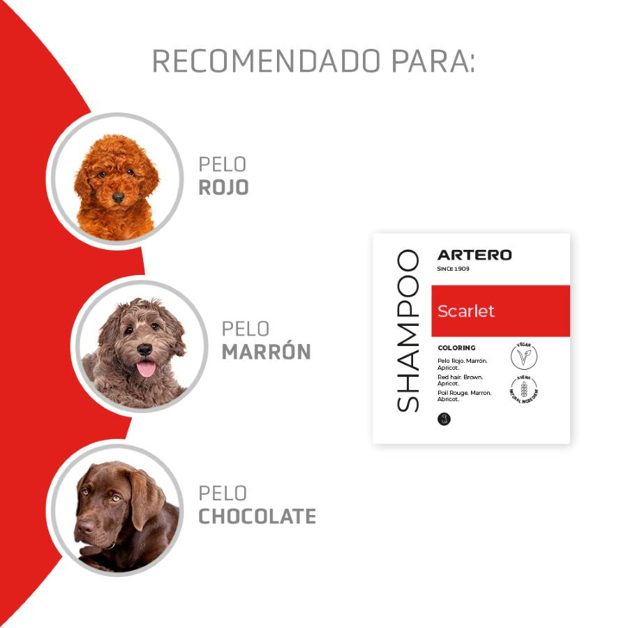 Artero Champu Scarlet Rojo 650ml