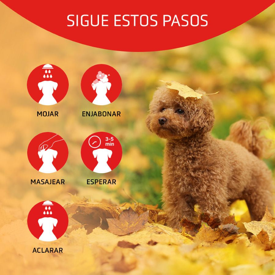 Artero Champu Scarlet Rojo 650ml