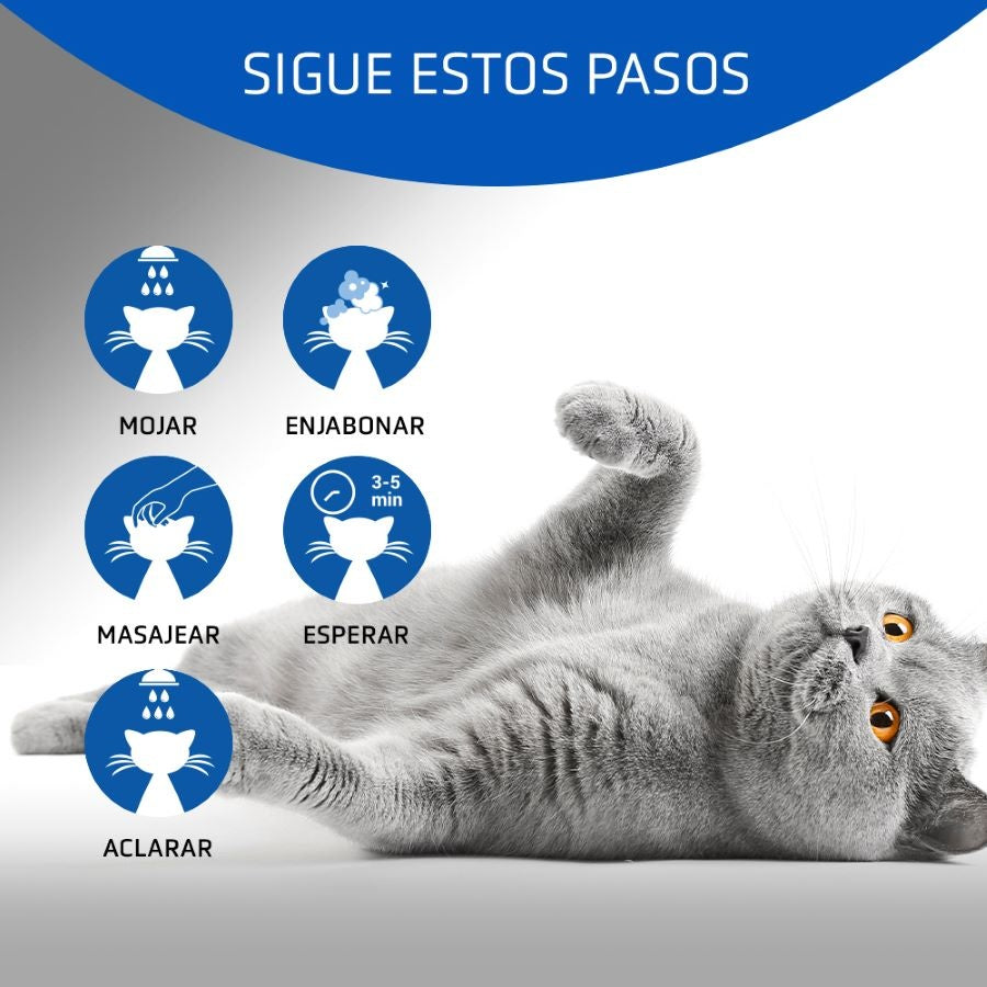 Artero Champú Gato 4cats 250ml.