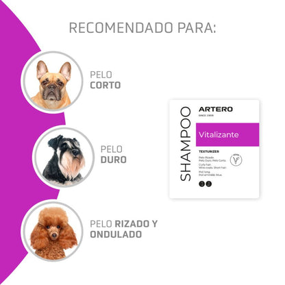 Artero Shampoo Vitalizante