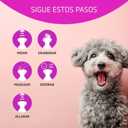 Artero Shampoo Vitalizante