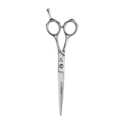 Set de Tijeras de peluquería profesional.
